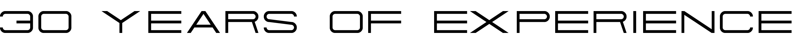 Fielitz Logo 30 years of experience 